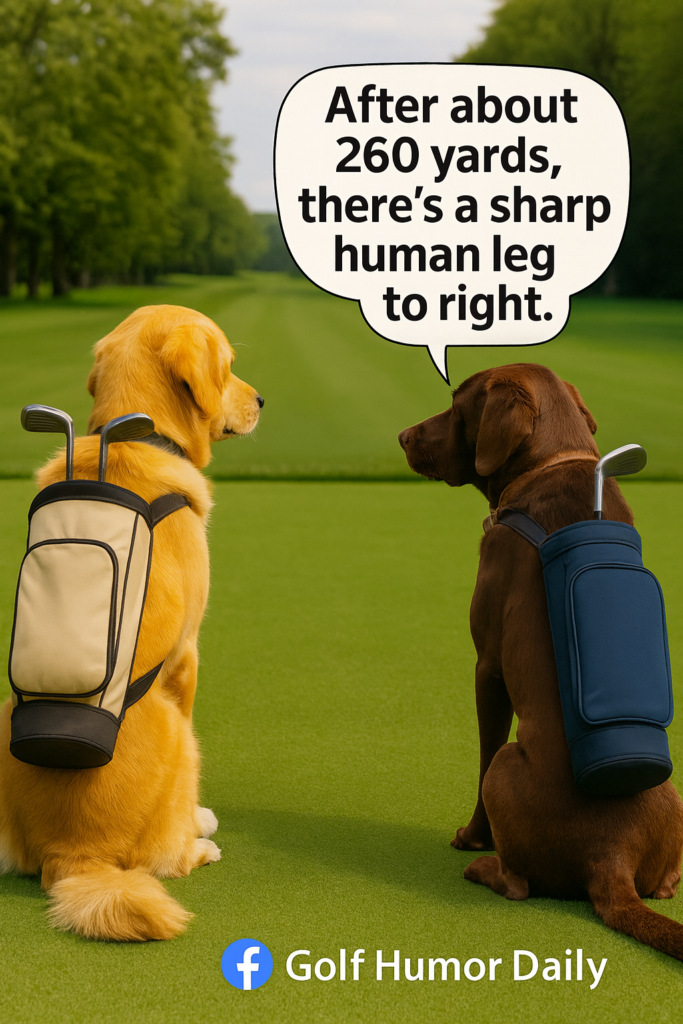 An image of two dogs talking about the sharp "human leg" ahead of them in the fairway