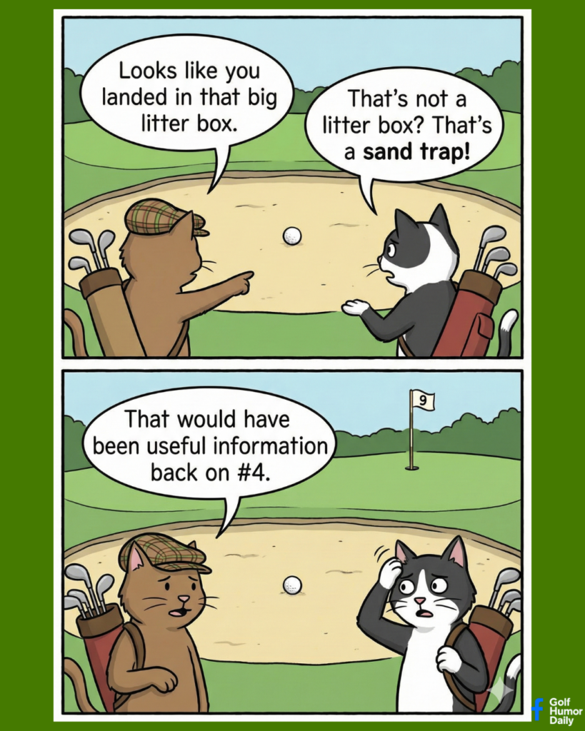 Two cats playing golf. One lands in sand trap. The cat on the left says, "Looks like you landed in that litter box." The black cat says, "That's not a litter box? That's a sand trap! In the bottom panel, the cat on the left says, "That would have been useful information back on #4."